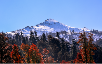 Kedarkantha Trek